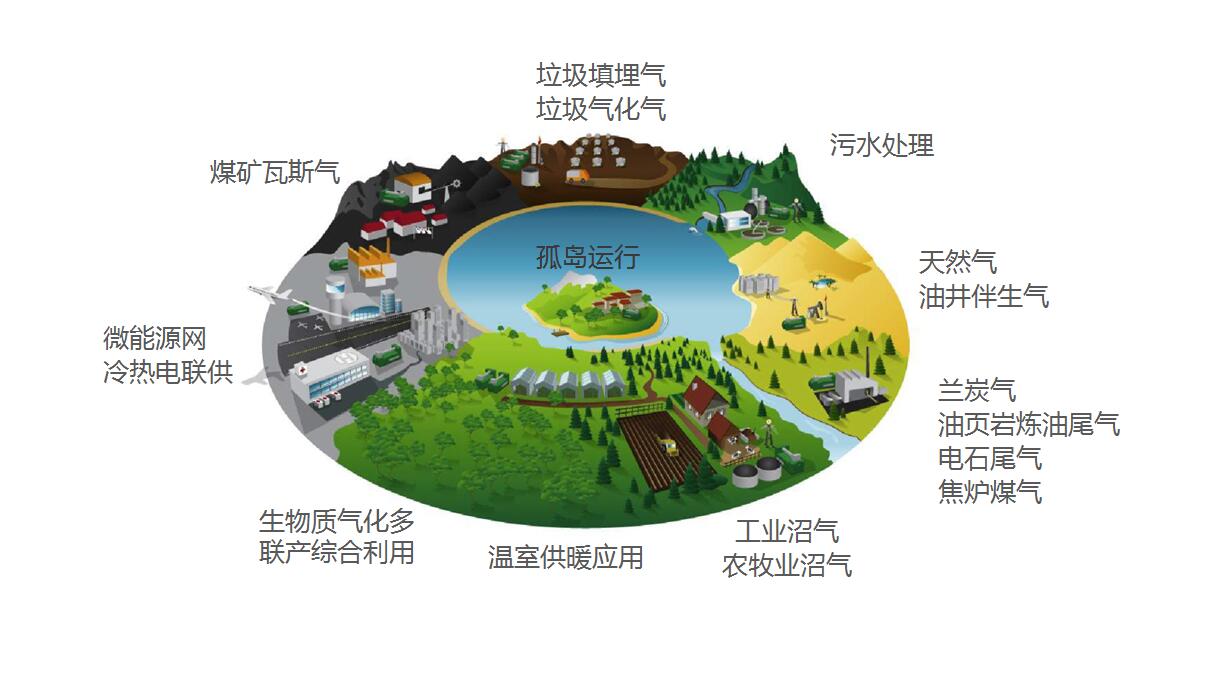 yApplication fields